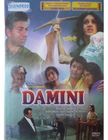 Damini DVD