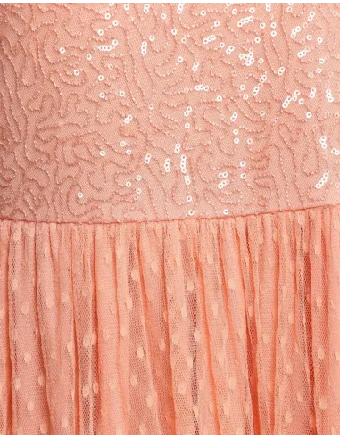 Women Maxi Pink Embroidered Dress - Ann Springs